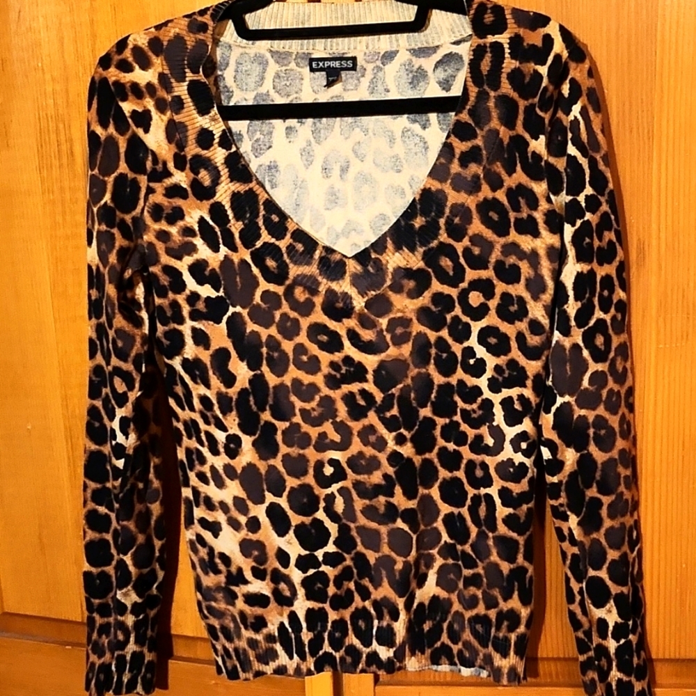 Express Sweater